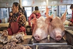 Dự báo kho dự trữ thịt lợn bí mật của Trung Quốc sắp cạn kiệt, chỉ còn 'trụ' được 3 tháng