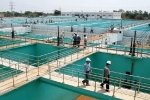 Lùm xùm giá nước Nhà máy nước mặt Sông Đuống: Hà Nội có 'ưu ái' thái quá cho doanh nghiệp?