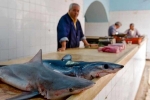 Cá mập bị lóc xương, bày bán khắp chợ ở Tunisia