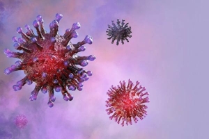 Australia công bố phát hiện mới về virus gây ra đại dịch Covid-19