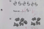 Bài toán lớp 1 đếm số vịt và chó, 99% phụ huynh và giáo viên đều thấy học sinh trả lời sai