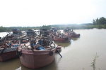 Quảng Ninh: Truy bắt 6 tàu thủy vận chuyển cát trái phép