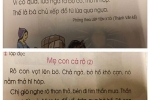 Sách giáo khoa Tiếng Việt lớp 1 đầy 'sạn': Hãy để xã hội kiểm định, lựa chọn sách giáo khoa!