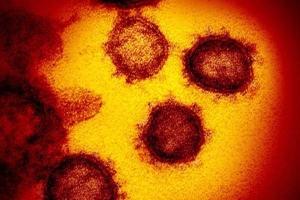 Phát hiện mới về chủng virus gây đại dịch Covid-19