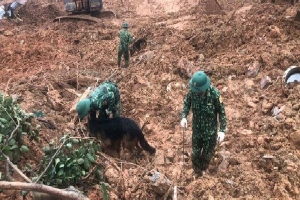 Chó nghiệp vụ tham gia tìm kiếm 3 cán bộ, chiến sĩ còn lại trong vụ vùi lấp ở Quảng Trị