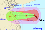 Tin bão mới nhất: Bão số 8 mạnh cấp 13 giật cấp 15 còn cách Hoàng Sa 280 km, sẽ giảm cấp khi vào biển Hà Tĩnh - Quảng Trị
