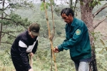 Hà Anh Tuấn trồng hai cánh rừng ở Lâm Đồng, Đà Nẵng