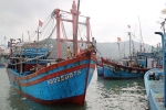 Bị chìm trên đường tránh bão, 26 thuyền viên của 2 tàu cá Bình Định mất tích