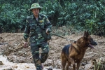 Huy động trực thăng, chó nghiệp vụ vào khu vực sạt lở ở Trà Leng