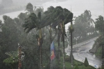 Báo quốc tế nói về bão số 9 Molave tại Việt Nam: Cơn bão mạnh nhất thập kỷ đánh vào một quốc gia kiên cường