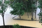 Nhà của Châu Khải Phong ở Nghệ An bị ngập trong nước