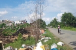 Trà Vinh nhờ 'giải cứu' 30.000 tấn rác: Vĩnh Long phân vân, Cần Thơ từ chối
