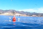 SỐC: Hai nữ du khách đang chèo thuyền bỗng bị cá voi nuốt chửng vào bụng, cái kết cực chấn động!