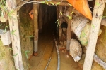 'Đột nhập' lãnh địa khai thác vàng trên rừng phòng hộ ở Đắk Nông