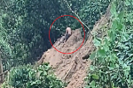 Clip: Thời khắc cứu sống người bị chôn vùi do sạt lở núi ở Quảng Nam