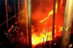 Hỏa hoạn thiêu rụi gần 10 ha rừng tại Vĩnh Phúc