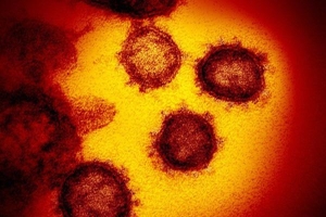 Phát hiện mới về dấu vết của virus corona