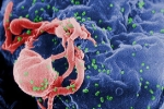 Phát hiện mới về vaccine ngừa HIV