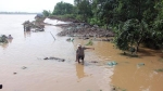 Vĩnh Long: Sạt lở đã làm mất khoảng 11ha đất nông nghiệp của cồn Thanh Long