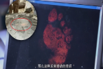 Bí ẩn vết chân đỏ như máu trên nắp quan tài: Đội khảo cổ scan dấu vết trên máy tính, manh mối dần hiện ra