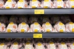 Tại sao những con gà trong siêu thị không có đầu?