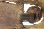 Tìm thấy 'xác ướp la hét' kỳ lạ, các nhà khoa học phát hiện âm mưu đáng sợ trong gia đình Hoàng gia nổi tiếng nhất thế giới từ 3.000 năm trước