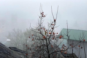 Ảnh, clip: Nhiệt độ giảm mạnh chỉ còn 8 độ C, thị trấn Sa Pa chìm trong sương mù, rét buốt