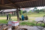 Bắt 5 đối tượng chém nam thanh niên đang ăn đêm cùng 4 phụ nữ ở Thái Nguyên