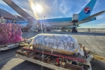 Toàn bộ hình ảnh linh cữu cố nghệ sĩ Chí Tài nằm giữa đường băng khi vừa về tới Mỹ
