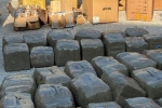 Phá vụ vận chuyển 665 kg ma túy qua cảng Hải Phòng