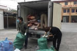 Hải Dương: Hơn 2 tấn thịt lợn bốc mùi bị thu giữ trên đường tiêu thụ