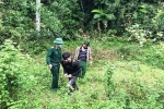 Người đàn ông ở Thanh Hóa nhập cảnh trái phép từ Lào về Việt Nam, trốn cách ly