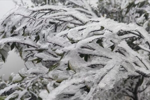 Dự báo thời tiết hôm nay 9/1/2021: Vùng núi cao ở Bắc Bộ có nơi dưới 0 độ - Nam Bộ chuyển lạnh