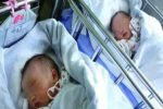 Hai chị em sinh đôi mang thai cùng lúc, sinh cùng ngày, hai đứa con giống nhau một cách kỳ lạ, xét nghiệm ADN mới phát hiện sự thật khó tin