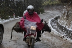 Băng và tuyết rơi làm hơn 300 trâu bò chết rét, người dân dùng xe máy chở về