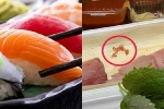Đang ăn bỗng nhìn thấy 2 con giun nhảy múa bên đĩa sushi khiến vị khách rùng mình