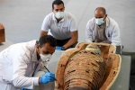 Ai Cập phát hiện kho báu mới ở nghĩa trang Saqqara