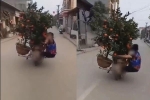 Clip: Người phụ nữ đu bám sau xe máy chở quất Tết để giữ cân bằng khiến cư dân mạng vừa trầm trồ vừa sợ hãi!