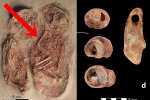 Phát hiện 2 bộ hài cốt em bé nhỏ xíu nhuốm màu đỏ máu, các nhà khoa học sửng sốt khi biết câu chuyện sinh đôi cùng trứng từ 30.000 năm trước