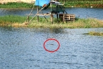 Chưa bắt được cá sấu nổi giữa hồ nước ở Vũng Tàu