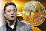 Giá Bitcoin tăng nóng sau động thái của Elon Musk