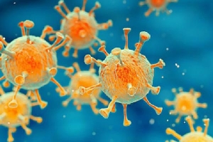 12 biến chủng của virus corona lây lan toàn cầu ra sao?
