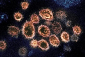 Vì sao Mỹ không săn biến chủng của virus?