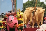 Loạt ảnh linh vật trâu 'ngáo ngơ' xuống phố chào Tết Tân Sửu, CĐM hài hước: 'Nhìn cười cả năm'