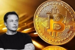 'Sau động thái của Elon Musk, giá Bitcoin sẽ tăng lên 50.000 USD/đồng'