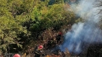 Đắk Nông: Kịp thời dập tắt vụ cháy rừng tại thành phố Gia Nghĩa