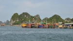 Vụ thi thể 2 vợ chồng ngư dân trôi dạt trên vịnh Bái Tử Long (Quảng Ninh): Nạn nhân mới đi làm được một ngày