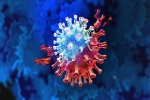 Chủng virus Covid-19 'lai' gây lây truyền mạnh hơn, trốn tránh hệ miễn dịch: Các chuyên gia nói gì?