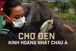 Bên trong chợ đen buôn lậu sừng tê giác kinh hoàng nhất châu Á: Không cách nào ngưng lại, kể cả khi đại dịch xuất hiện