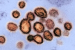 Xuất hiện chủng virus corona giống nCoV đến 94,5%